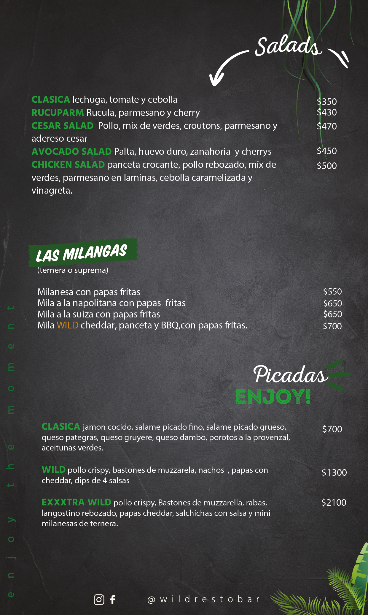 Carta de Wild en San Martin de los Andes, Neuquen — página 1